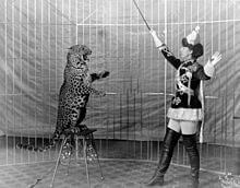 Female lion tamer and leopard.