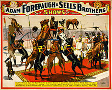 Sells Brothers Circus with Great Danes