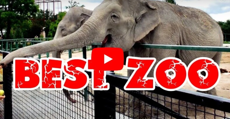 Best Zoo